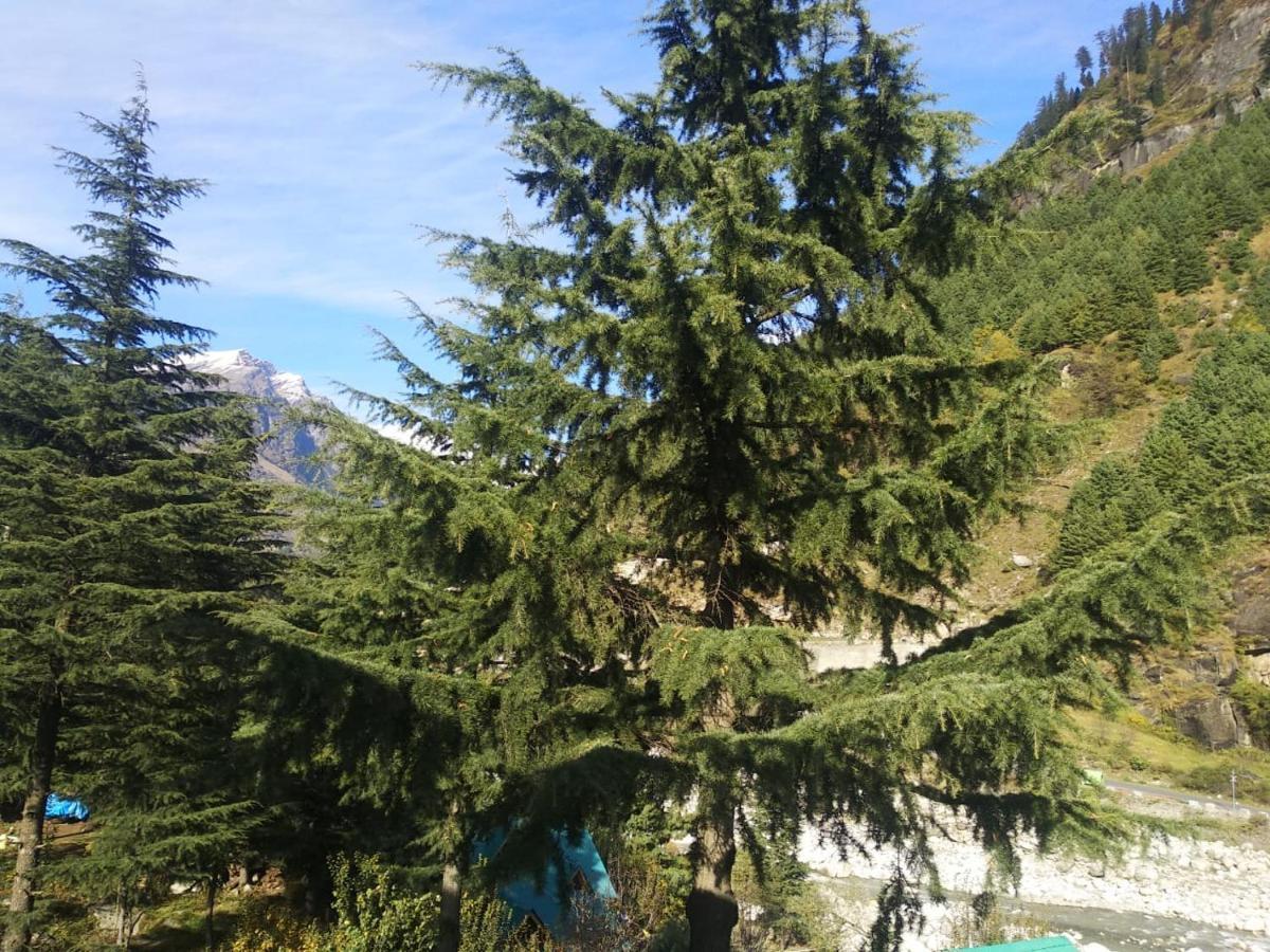 Nehru Kund Heights By Jitainn Manali  Bagian luar foto